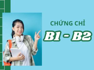 b1-b2-step